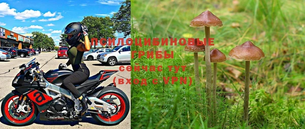 PSILOCYBIN Арсеньев