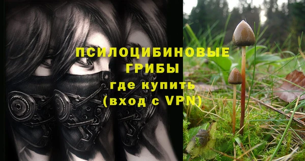 PSILOCYBIN Арсеньев