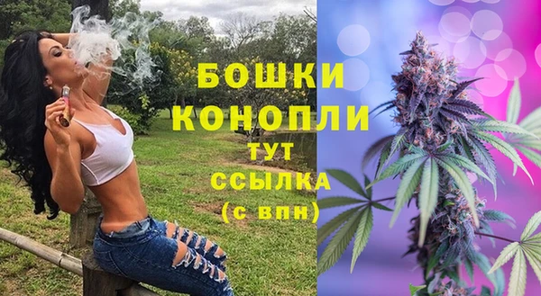 PSILOCYBIN Арсеньев