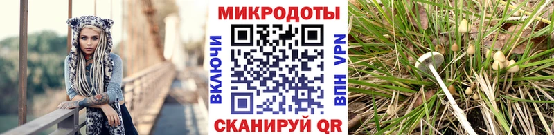 Галлюциногенные грибы Magic Shrooms  закладка  Асино 